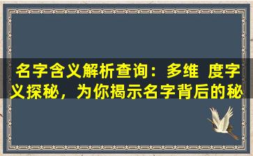 名字含义解析查询：多维  度字义探秘，为你揭示名字背后的秘  密！